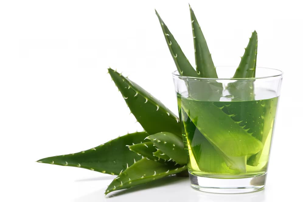 Aloe Vera Usage & Benifits