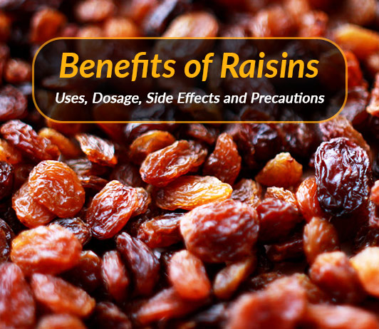 Health Benefits Of Eating Raisins
