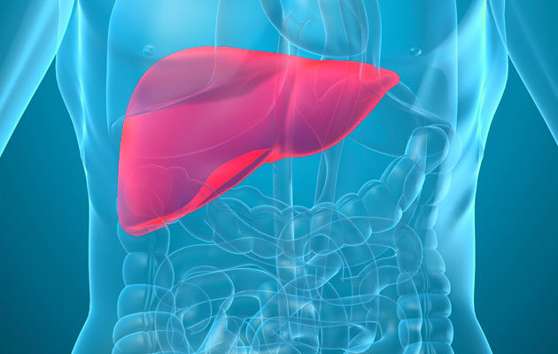 Healthy-Liver