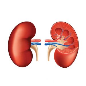 kidney-disease1