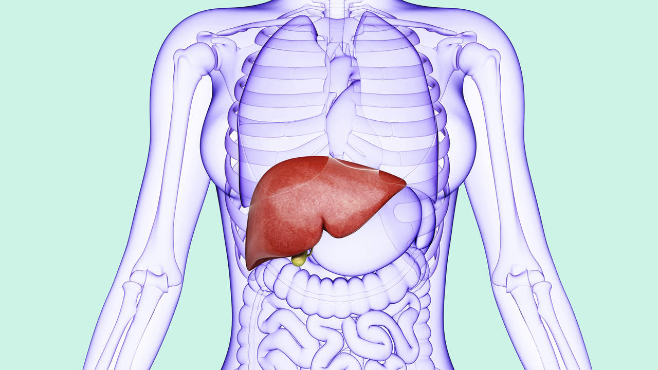 Sugar Intake Not Directly Related to Liver Disease