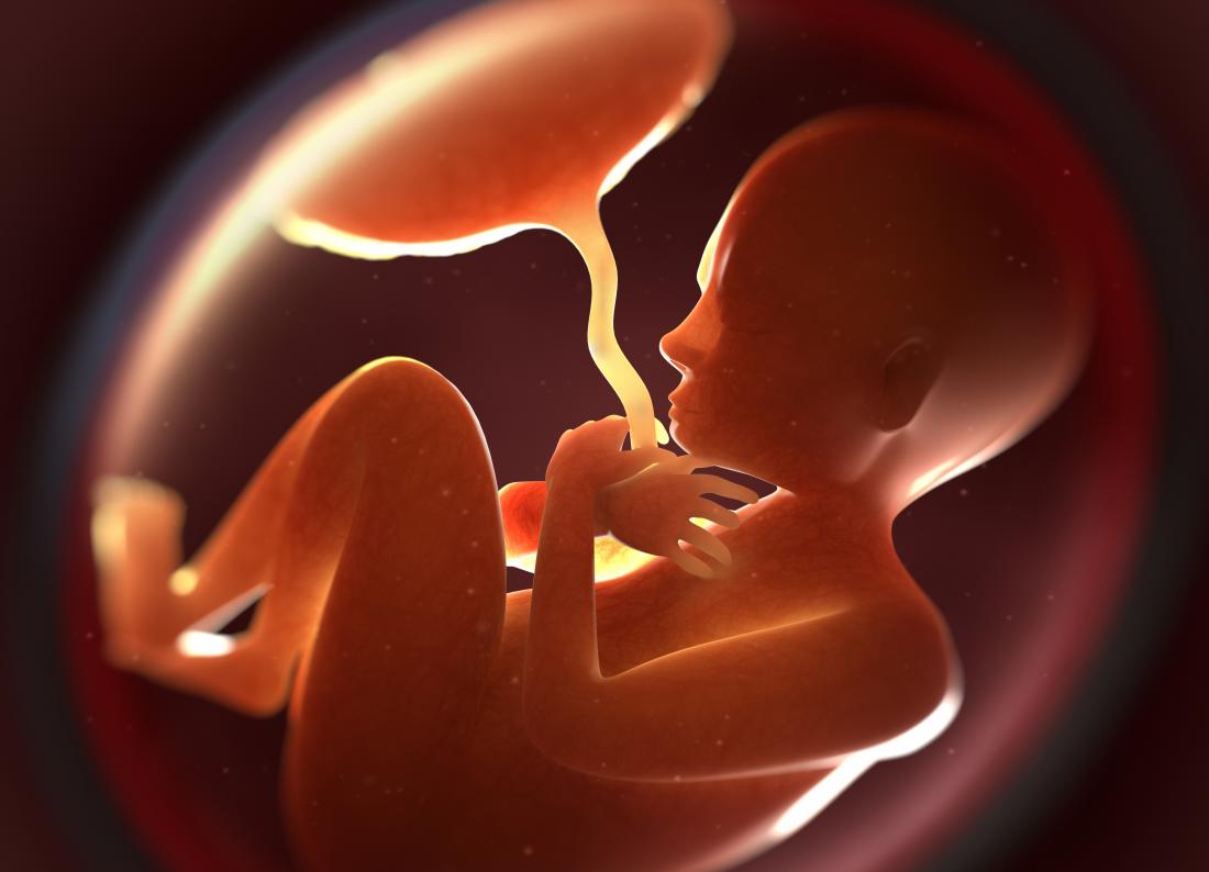 PREGNANCY
