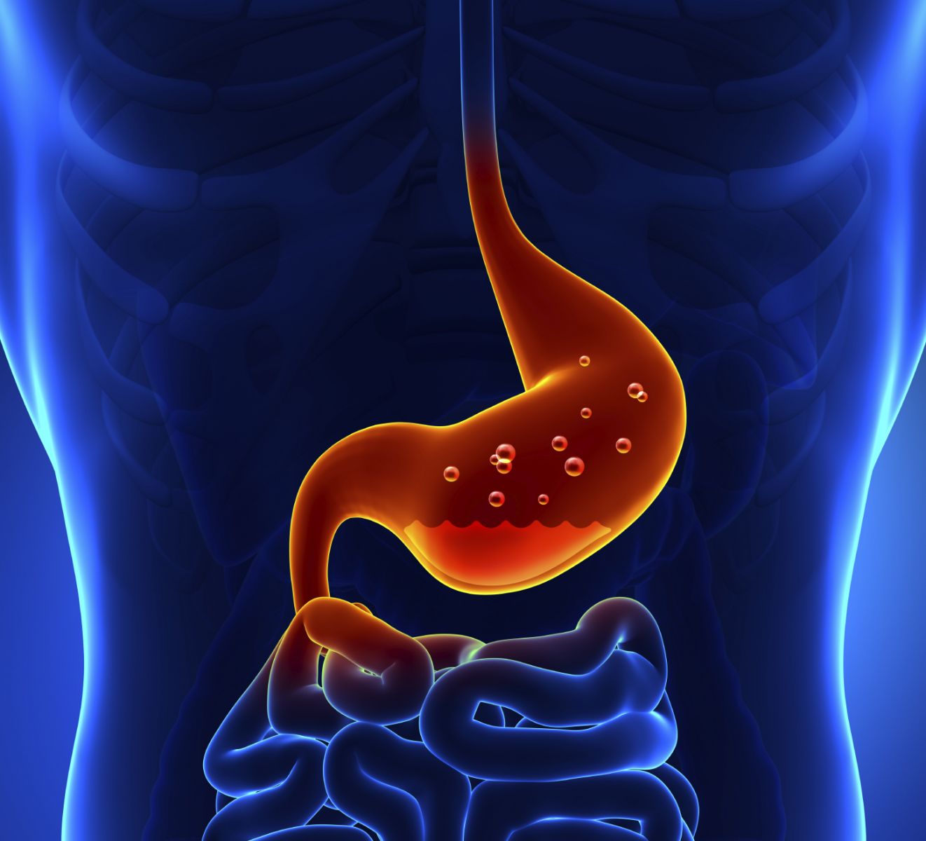 stomach
