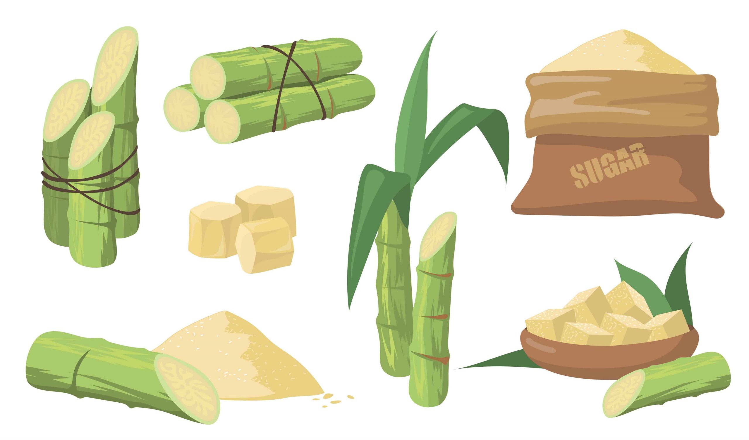 Sugar Cane Benefits & Remedies
